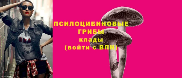 прущие крисы Баксан
