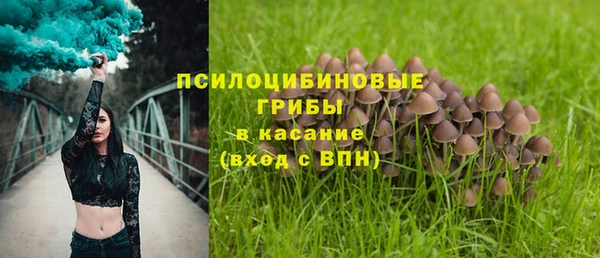 прущие крисы Баксан